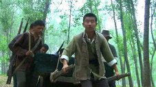 Épisode 11
