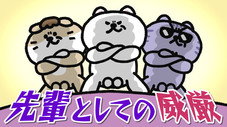 Épisode 30