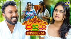 Épisode 54