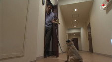 Épisode 8