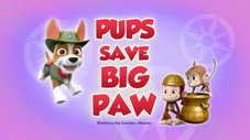 Pups Save Big Paw