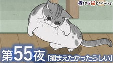 Épisode 55