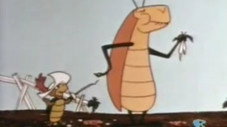 Les Insectes (Touché La Tortue)