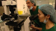 La fécondation in vitro : un enfant nomme désir