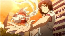 Épisode 11