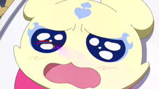 Épisode 1