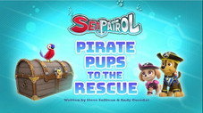 Sea Patrol: Pirate Pups to the Rescue