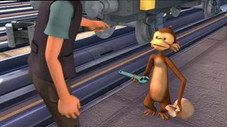Petit farceur ce singe !