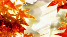 Les Feuilles d'Automne