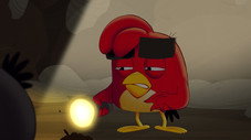 Épisode 11