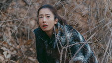 Épisode 11