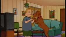 Dances with Dogs