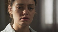 Épisode 34