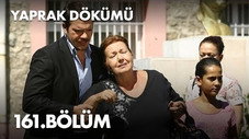 Épisode 161