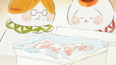 Épisode 23