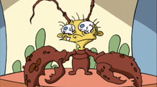 Épisode 8