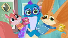 Épisode 6
