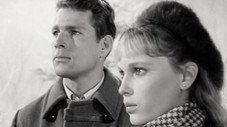 Épisode 32