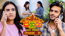 Épisode 25