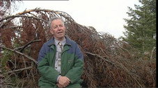 Bois : hêtre ou ne pas hêtre
