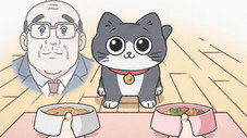 Épisode 41
