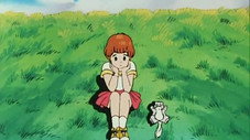 La saison de l'amour