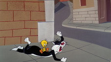 Épisode 13