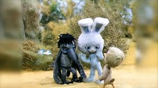 Épisode 5