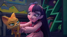 Épisode 15