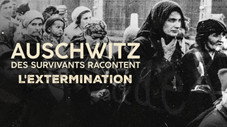 L’extermination