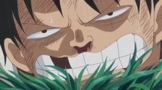 Eu Vou Esperar Aqui! Luffy vs. o Exército Furioso!