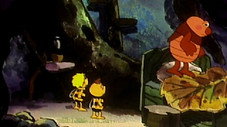 Maya, Willy et Flip explorateurs