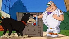 Épisode 11