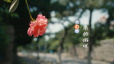 Épisode 10