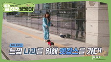 Épisode 8