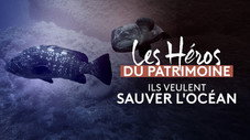 Ils veulent sauver l'océan
