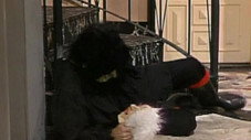 Épisode 12