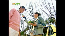 Épisode 3