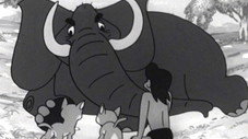 Épisode 24