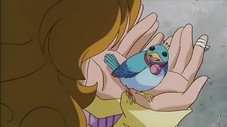 Épisode 8