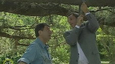 Épisode 252