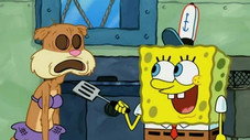 Someone's in the Kitchen with Sandy