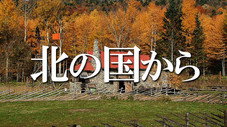 Épisode 8