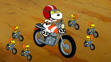 Rien n'arrête Snoopy