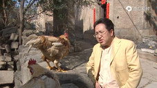 Épisode 5