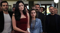 Épisode 13