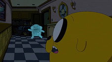 The First Investigation