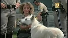 K-9-1