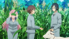 Épisode 8
