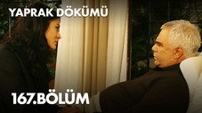 Épisode 167
